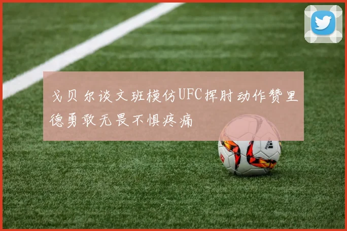 戈贝尔谈文班模仿UFC挥肘动作赞里德勇敢无畏不惧疼痛